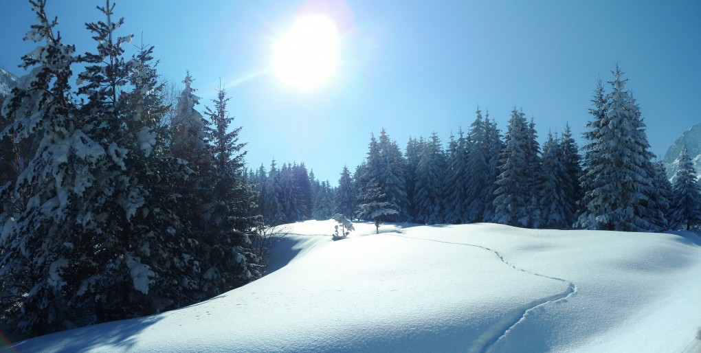 col d'ornon